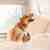 Gaithersburg Flea and Tick Control by Hughes Termite & Pest Control